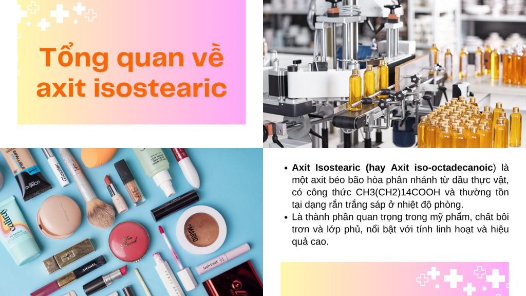 Tổng quan về axit isostearic